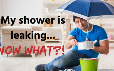 My shower is leaking…NOW WHAT?!